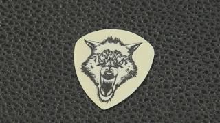Video thumbnail for Summer NAMM 2019: DUNLOP - James Hetfield pick by Guitar World