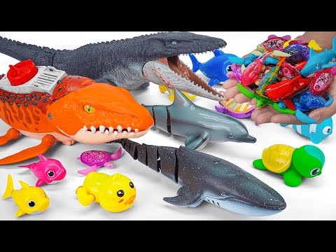 [🐳Toy asmr🐳] RC Mosasaurus & Dolphin & RC Shark & Crocodile & Aquarium ASMR Satisfying with Unboxing