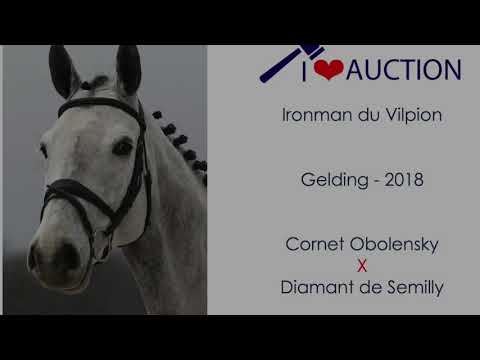 Ironman du Vilpion Movements