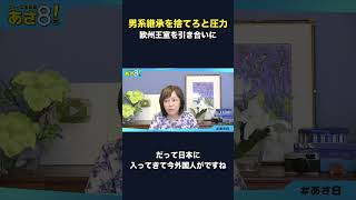 「欧州王室に倣え」の欧州王室は権威崩壊済み #政治 #ニュース #日本保守党 #高市早苗 #移民