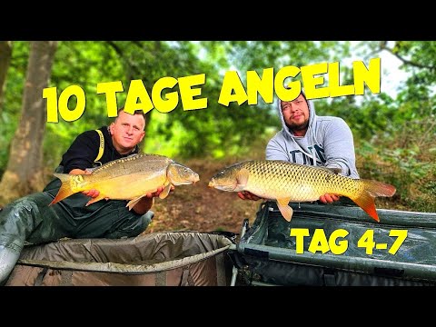 Carp fishing 2021 with a mega fishing night