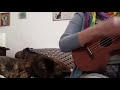 The Light – Ukulele Cover (Austin Lucas & Chuck Ragan)