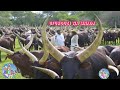 NYANDA SHINYANGA NTAMBI UFUNGUZI WA MNADA IBHANBO 2026 BY SHULE MSABAZAJI