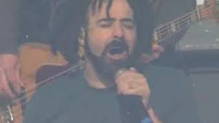 Counting Crows Accidentally In Love 2007 All Star Game