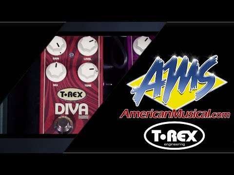 T-Rex Diva Drive Overview - American Musical Supply