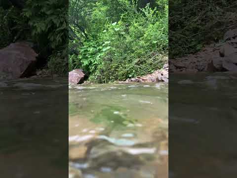 #tags #photography 🤍🤍❤️❤️❤️🫵🏃‍♂️🩵🩵🩵