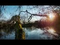 Mesum Ems Toter Arm Natur Landschaft