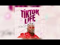 KING SAHA TIKTOK LIFE Official Audio