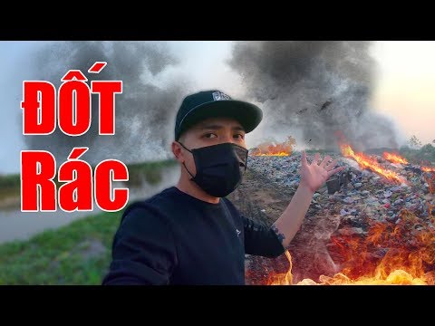 NTN - Hướng Dẫn Cách Làm Ô Nhiễm Môi Trường Giảm