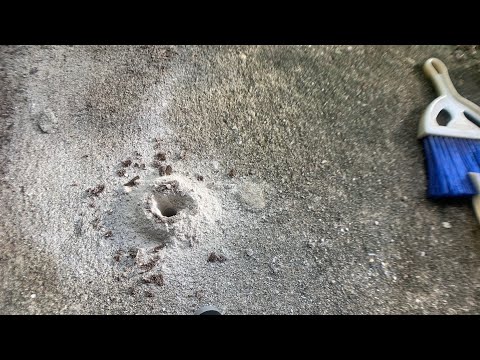 Dave’s Pest Control Drilling Concrete