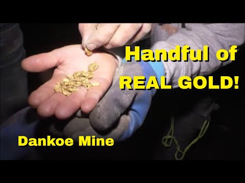 #291  Exploring Dankoe part 5    A handful of real Gold!