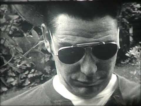 SOTW - D for Democracy shoot