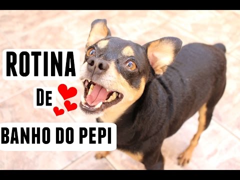 ♡ Minha Rotina de Sexta feira - Dando Banho no Dog