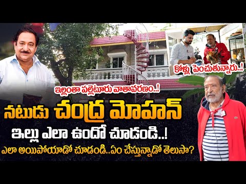 నటుడు చంద్ర మోహన్ ఇల్లు | Sr Actor Chandra Mohan Home Tour | Chandra Mohan House in Hyderabad
