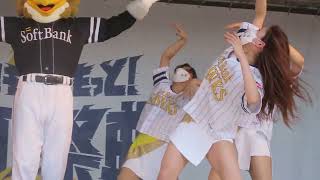 ハニーズ 鷹の祭典