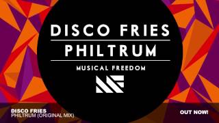 Disco Fries - Philtrum (Original Mix)