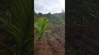 Download lagu test mesin pompa air mini merek pro quip 1,5 inch dan sprinkler big gun pvc 1 inch. selang 50 meter mp3 Download lagu test mesin pompa air mini merek pro quip 1,5 inch dan sprinkler big gun pvc 1 inch. selang 50 meter mp3
