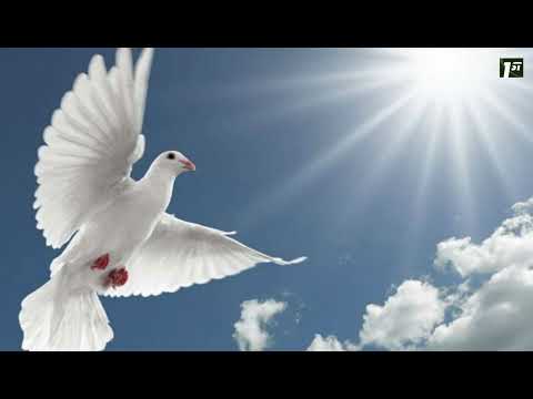 Seareer, Paranesu Thiruvadigal/ சேரீர், பரனேசு திருவடிகள்/ TPM Tamil Song - 450