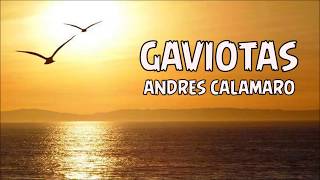 GAVIOTAS (CON LETRA) ANDRES CALAMARO