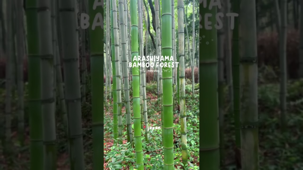 YouTube Short thumbnail