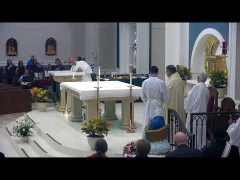 Nossa Senhora Madre, Virgen da Divina Providência 21/11/2023