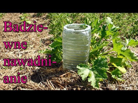 Ogrodowe pierdamony 2 - badziewne nawadnianie