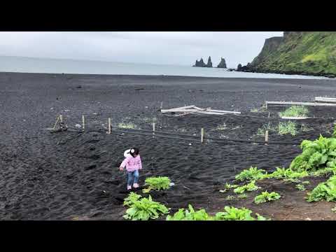 Black sand beach in Vik Anisha running