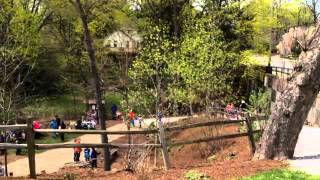 Mary Roberts Rinehart Nature Park.Fairy Homes.4.20.13