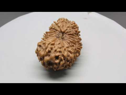 RD53032 GJSPC LABORATORY