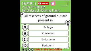 Morphology of flowering Plant class 11 chapter 5 mcq neet 2022