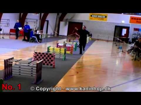 Danish Championships 2014 in Rabbit Hopping - Elite straight - TOP 10