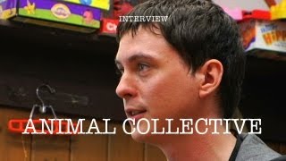 Animal Collective - Interview