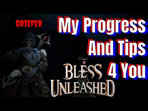 My Progress In Bless Unleashed With Tips As Well To Help you Have A Bless Experience