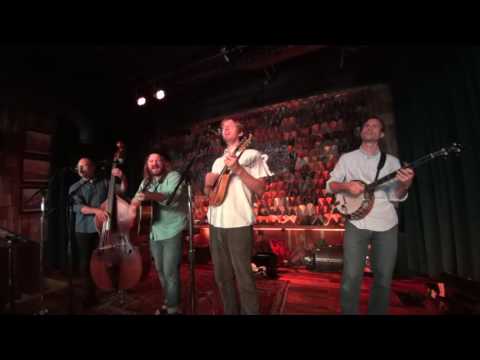 The Tennessee Warblers - 