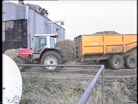 Harvesting Sugar Beet, December 1996