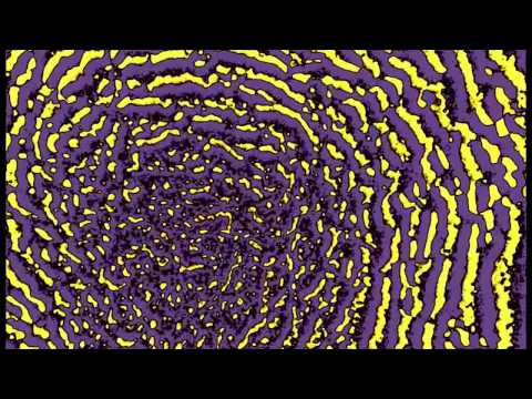 Vizionet e thyera - Në mes ëndrës dhe të vërtetës