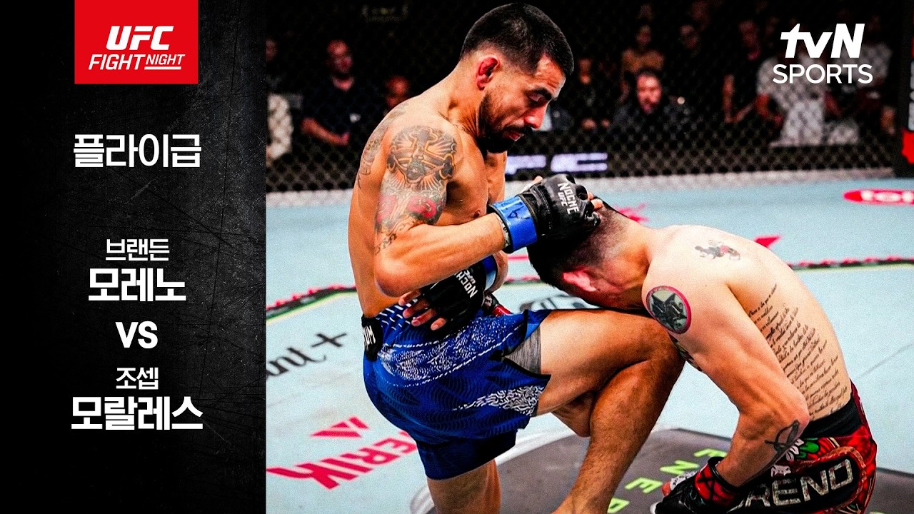 [UFC] 브랜든 모레노 vs 조셉 모랄레스