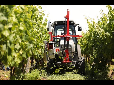 CLEMENS - ΑΠΟΦΥΛΛΩΤΗΣ / LEAF REMOVER / МАШИНА ЗА ОБЕЗЛИСТЯВАНЕ