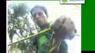 Mantiqueira Ecoturismo