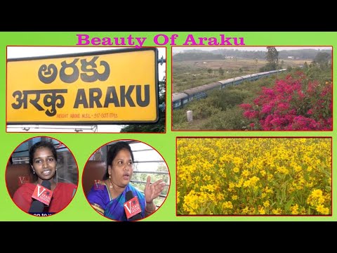 Children’s day celebrations at Vivek in Visakhapatnam