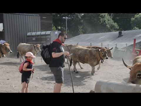 Transhumance 2022     Le grand départ