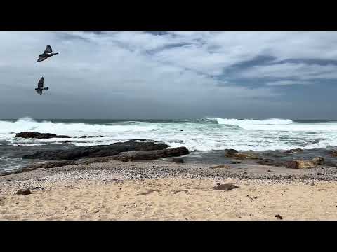ASMR Windy Equanox Ocean Waves sounds - natural beach sounds. 