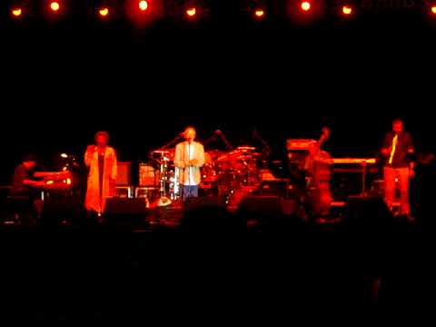 'The Man' Michael Franks - "Rainy Night In Tokyo" (LIVE)