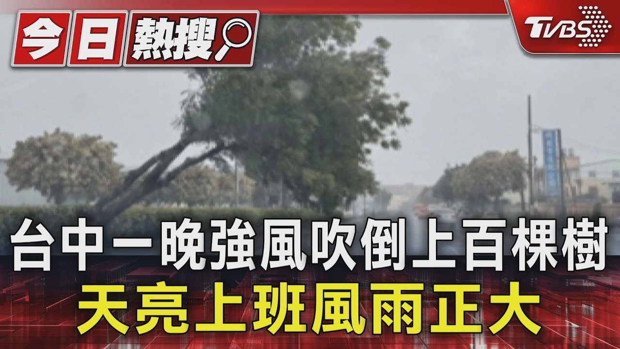 台中一晚強風吹倒上百棵樹! 天亮上班風雨正大