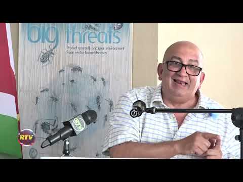 Description or Alt Text