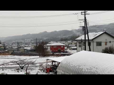 1st snow 2021 January 24