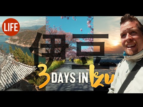世界著名的伊豆半島3日遊｜日本生活 第99集 (3 Days in World Famous Izu Peninsula | Life in Japan Episode 99)