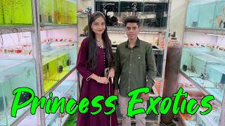 New Fish Stock at Princess Exotics