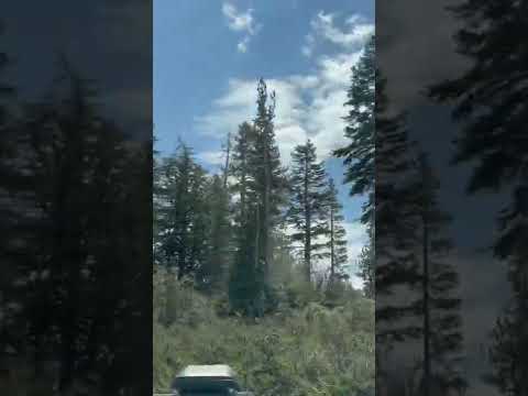 #shortstories/California/Nature’s Place/Deiveega Ragam/Divine