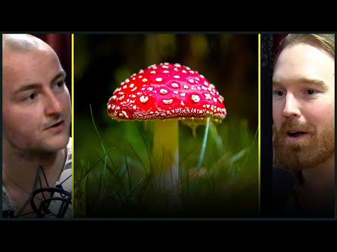 Ka2 Deler Sine Erfaringer Med Psykedelika og Rus